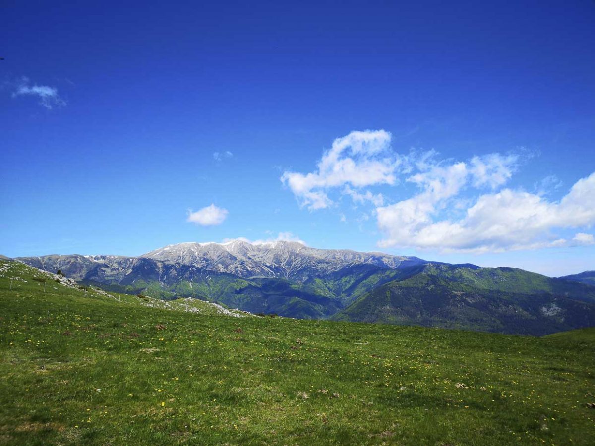 CAMÍ DE LA RETIRADA