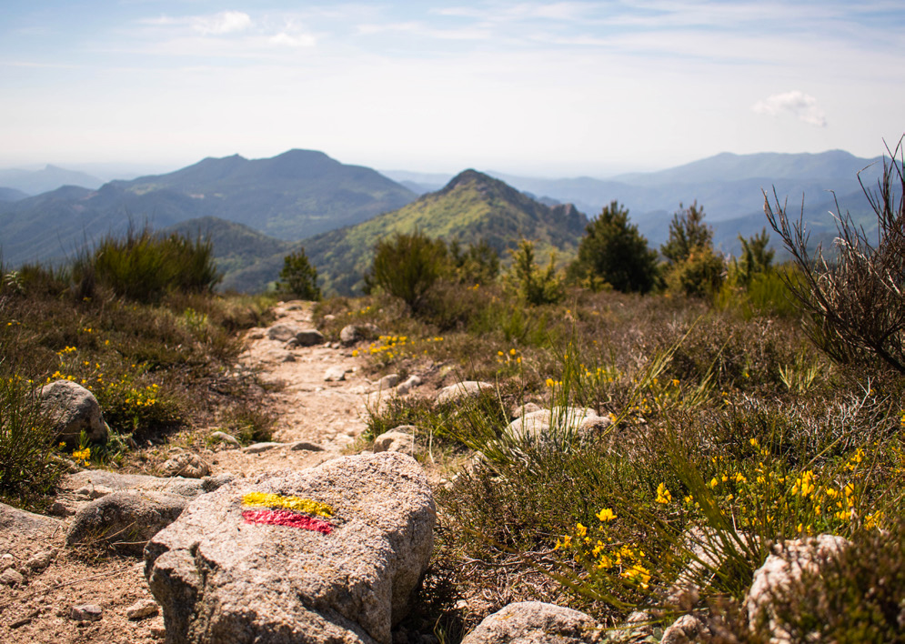 MONT CAPELL