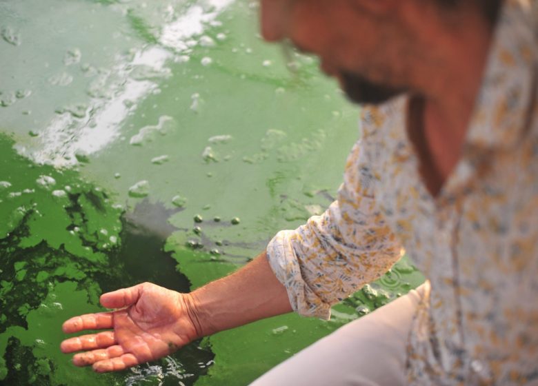 VISITE DE LA FERME À SPIRULINE