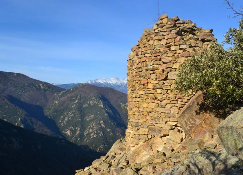 VESTIGES DU CHÂTEAU DE MONDONY