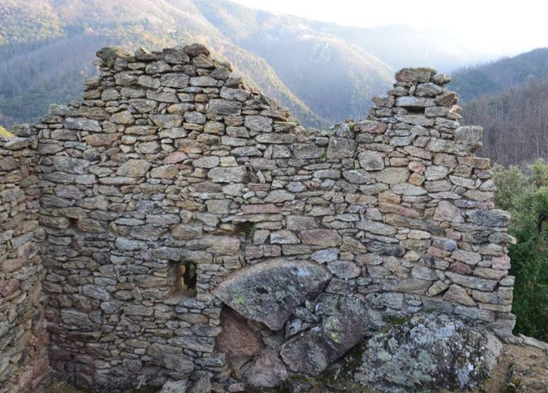 VESTIGES DU CHÂTEAU DE MONDONY