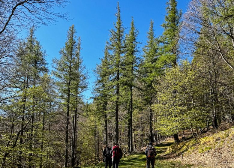 RESERVE NATURELLE DE PRATS DE MOLLO LA PRESTE