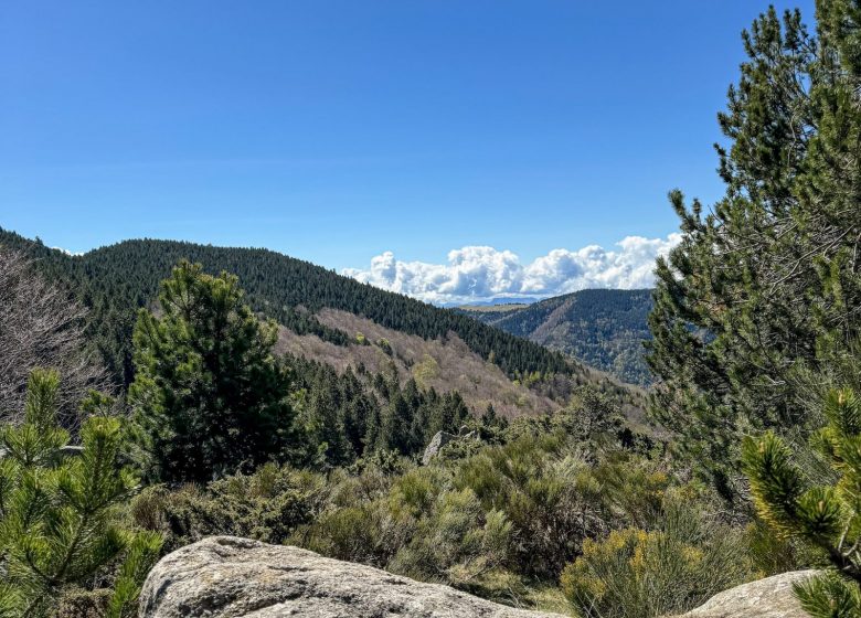 RESERVE NATURELLE DE PRATS DE MOLLO LA PRESTE