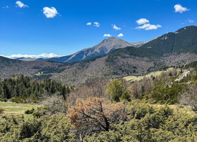 RESERVE NATURELLE DE PRATS DE MOLLO LA PRESTE