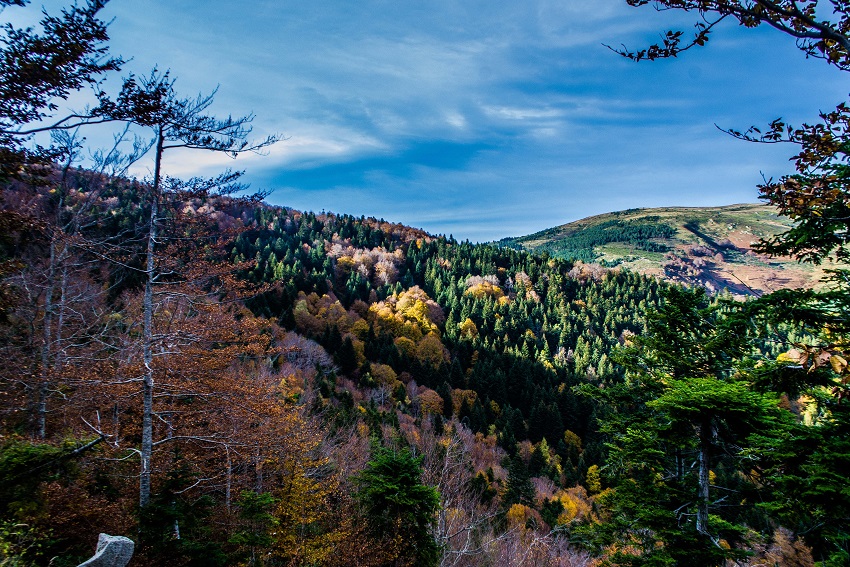 Sentier découverte des 5 sens