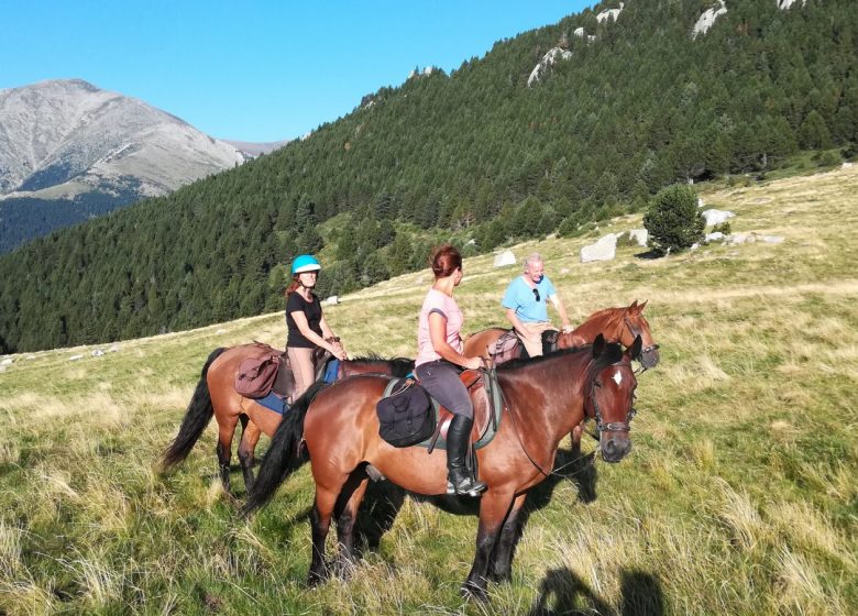 LES CHEVAUX DU BUAC