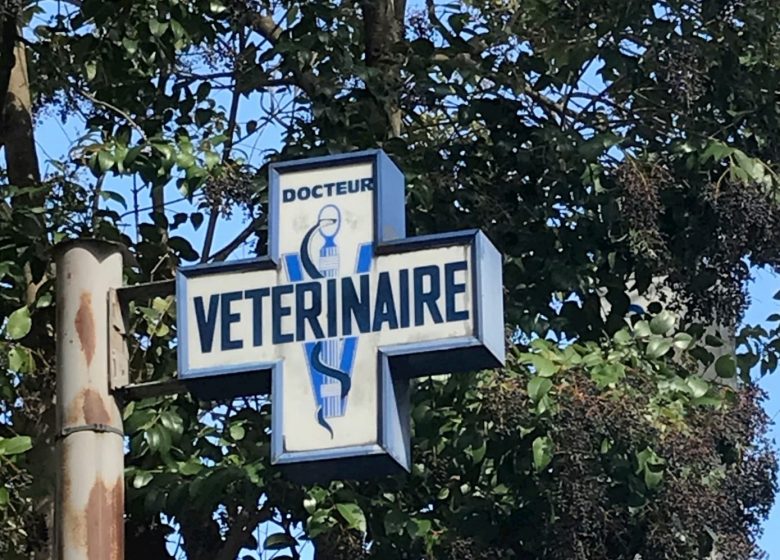 VETERINAIRE DR BOURGEOIS-JOUBERT-YEREMIAN