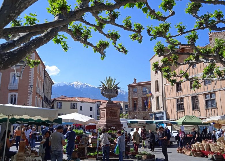 VISITE GUIDÉE DE LA VILLE DE PRADES