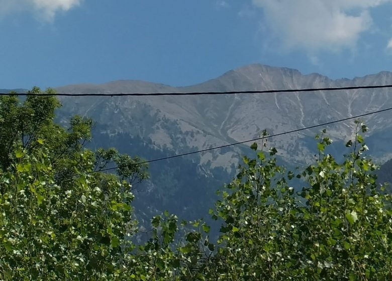 AUPRÈS DE MON ARBRE…