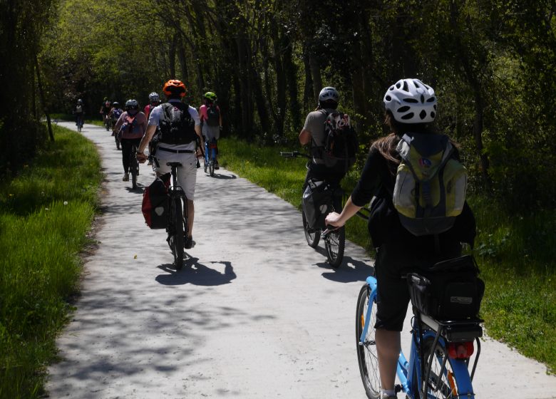 FOREST BIKE