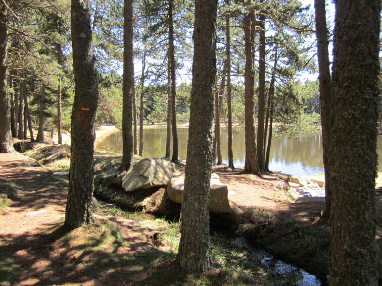 L’Etang du Ticou