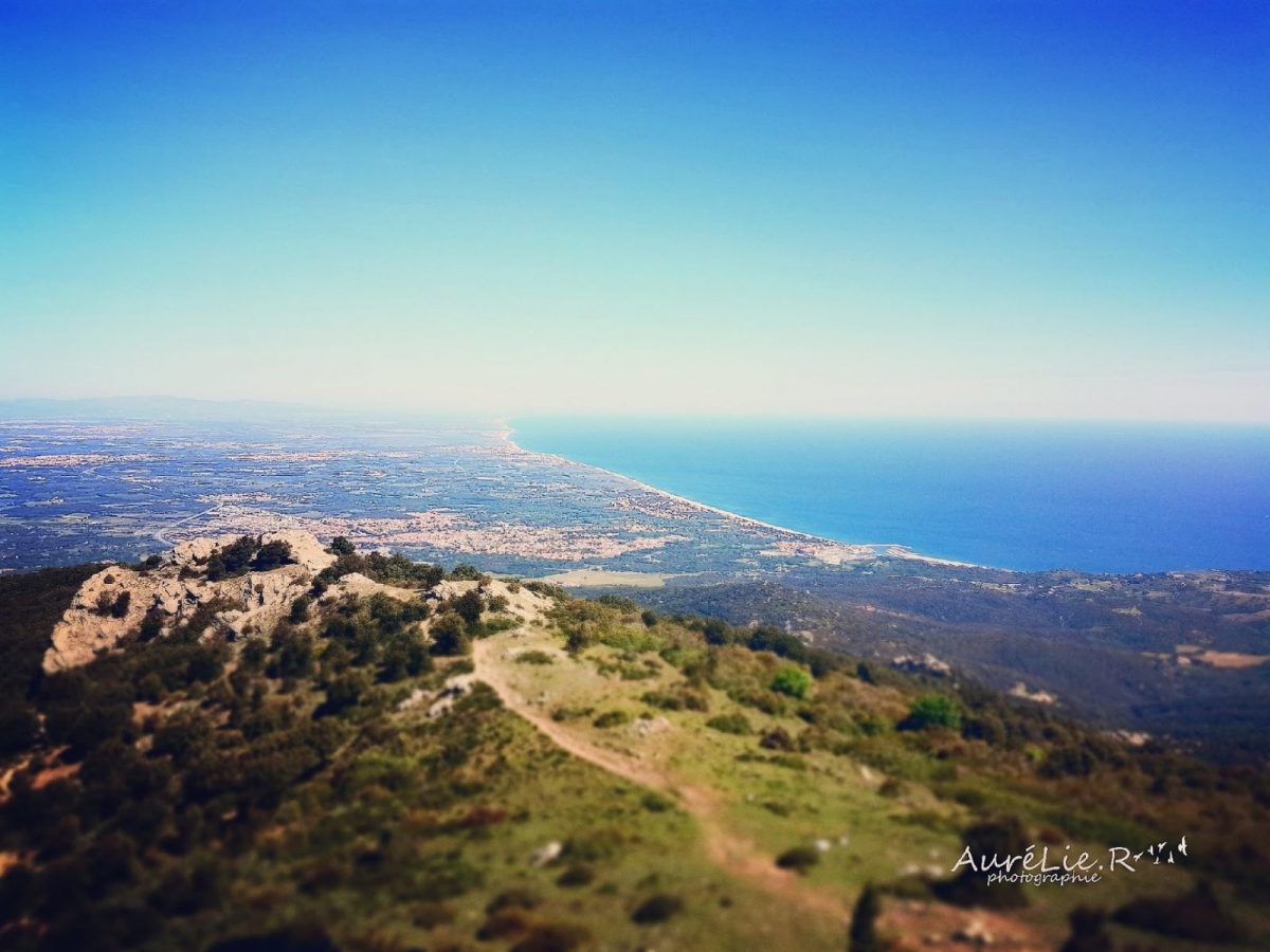 La tour de la Massane