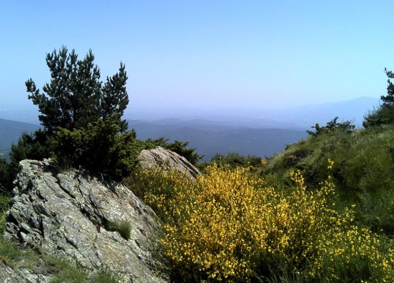 Torre de Batera et voie romaine