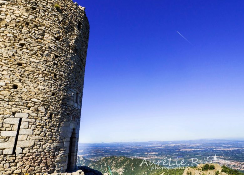 La tour de la Massane