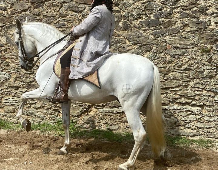 VISITES ANIMÉES « À L’ASSAUT DU FORT LAGARDE »