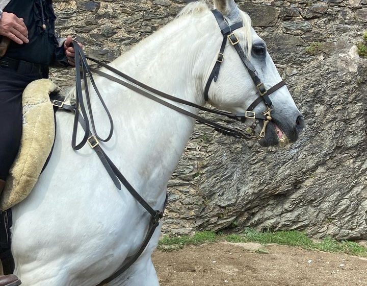 VISITES ANIMÉES « À L’ASSAUT DU FORT LAGARDE »