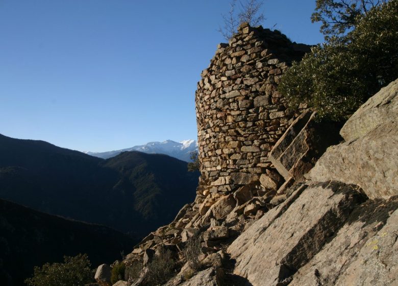 LA TOUR DE MONTALBA